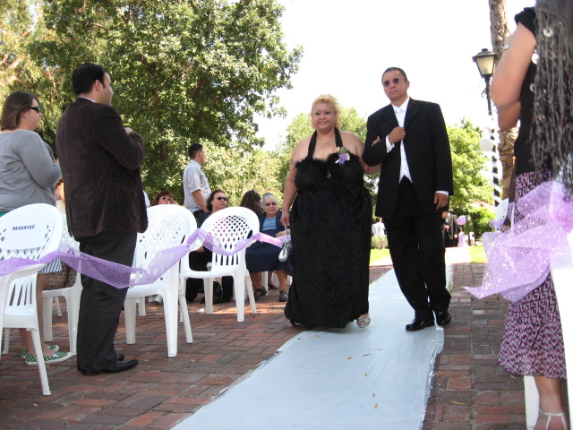 617x456 pixels (146K)